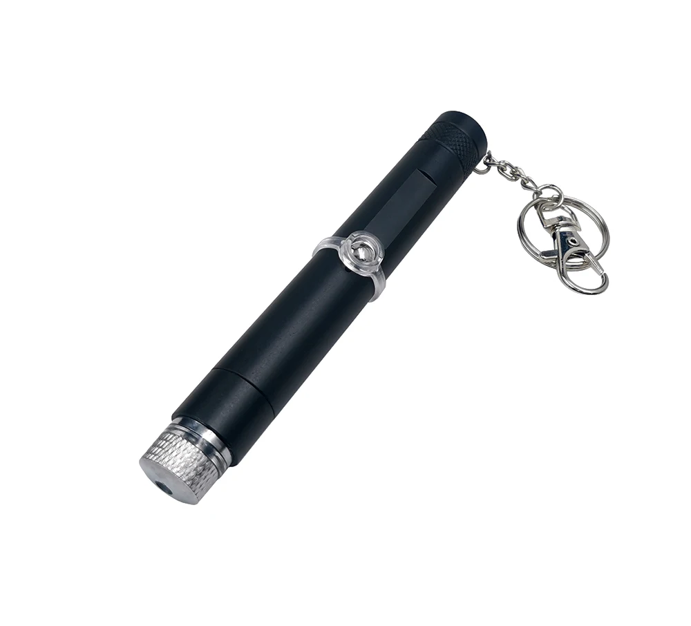 Portable 501USB Mini Handheld USB Interface Green Red Laser Pointer with Keychain