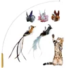 Set2 (pôle * 1 + oiseau * 2 + animal * 3)