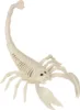 White-Scorpion