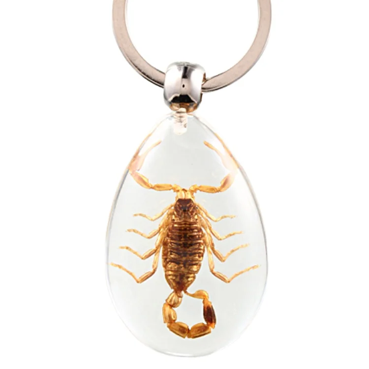 さくらプロフ必見様】専用 昆虫標本キーホルダー さくらプロフ必読様