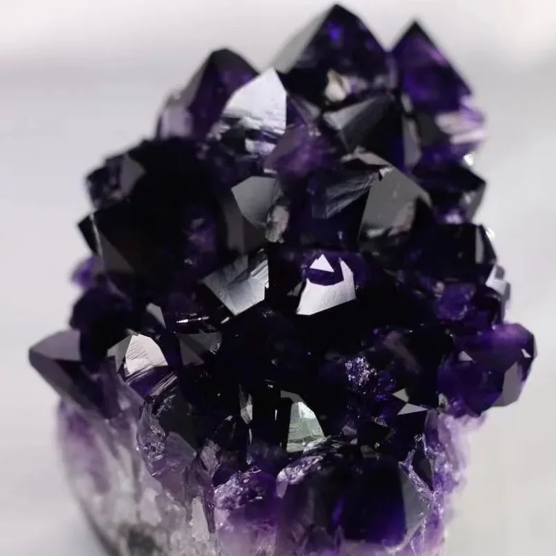 Ajoyib eshak Porno ichidagi kontur