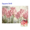 Pink Tulips-Square Drill