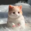 Crown Cat
