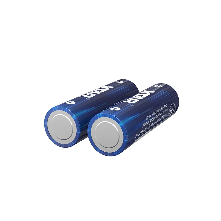XTAR 1.5V AA 4150mWh Lithium ion Battery SET