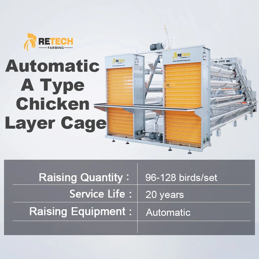 A Type Automatic Battery Poultry Cage System for Egg Layer Chickens