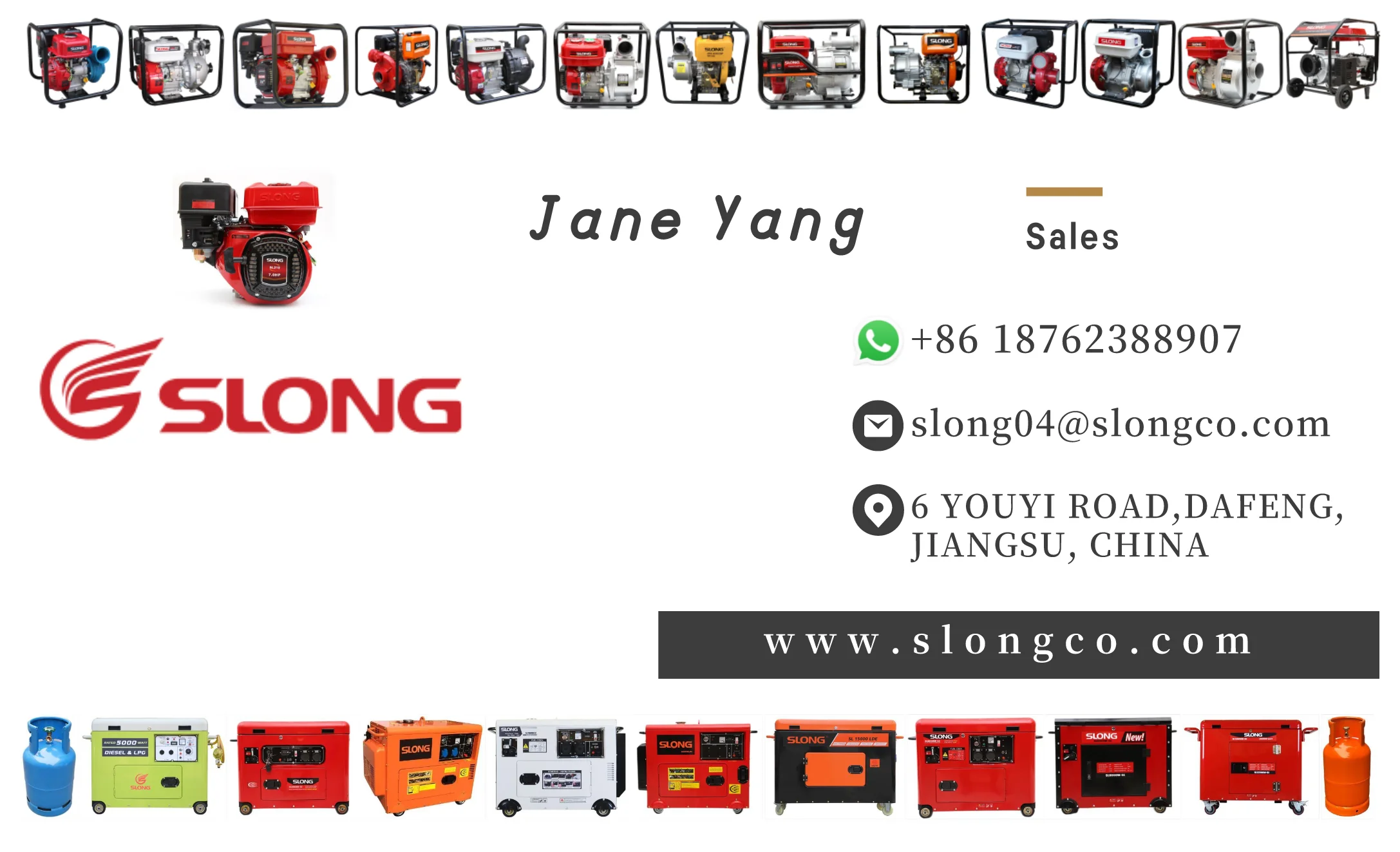Slong Portable Gasoline Lpg Generator Set Home Use Dual Fuel Generator