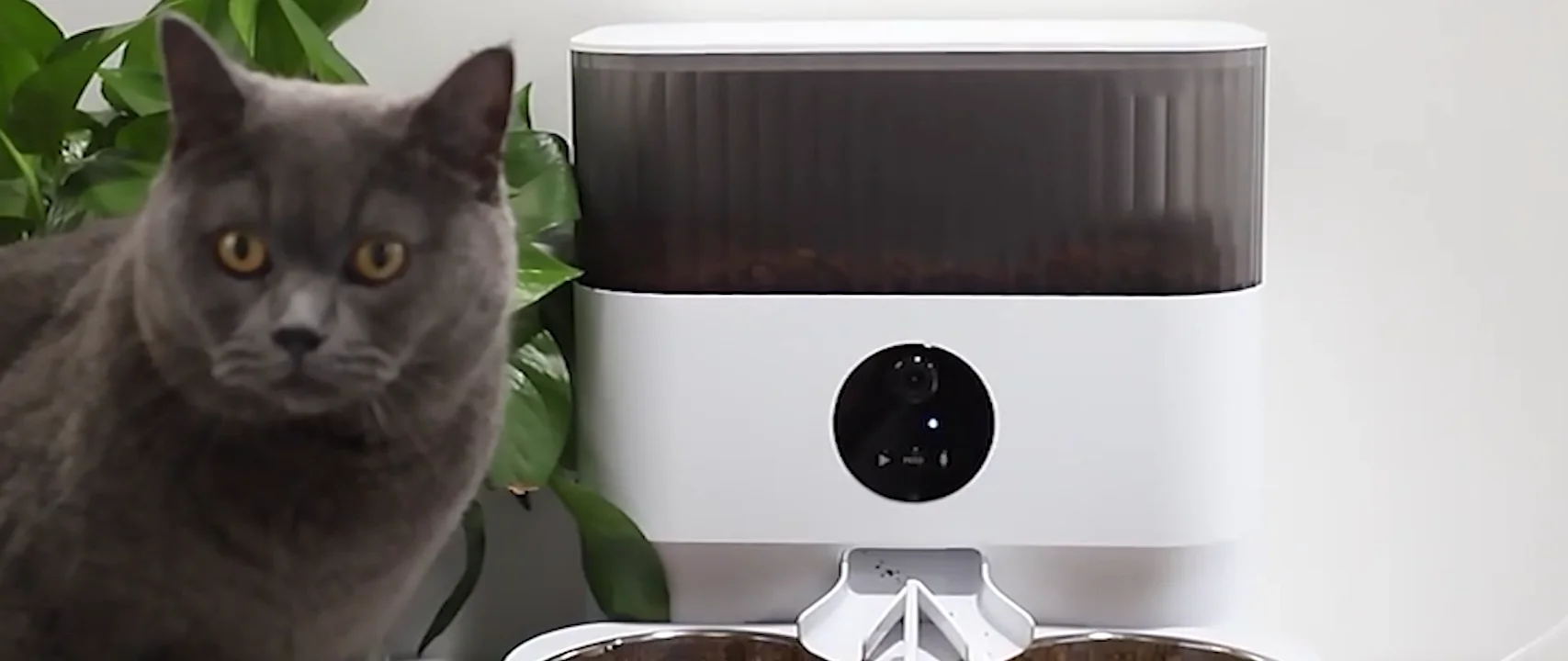 Petfessor Pet Feeders Automatic Cat Feeders App Control Automatic Pet