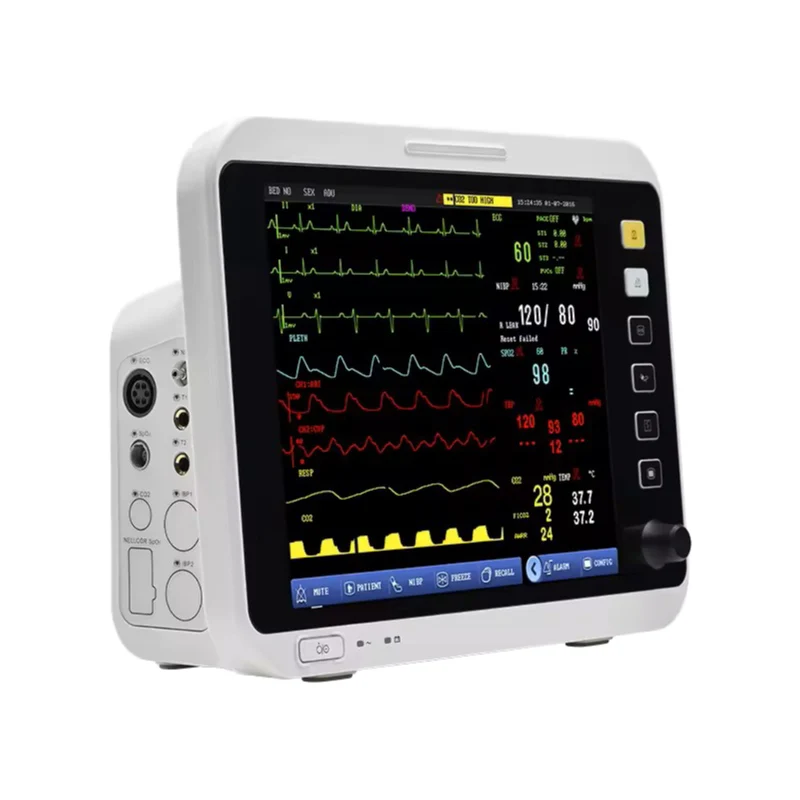 BLUEWORTH VM12 Multi-Parameter Patient Monitor for Dog Cat Horse 12-inch LCD Display Dual Arming Built-in Printer CE Certified