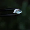 Negro1-15cm