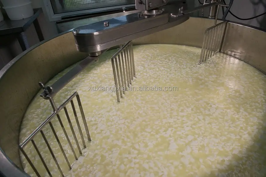 Automatic Mozzarella Cheese Making Machine 6000l 	 Small Scale Cheese Making Equipment Cheddar Cheese Machine