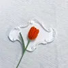สีส้ม