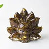 colorful Tigers eye