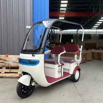 2024 new leisure tricycle with shed replacement scooter