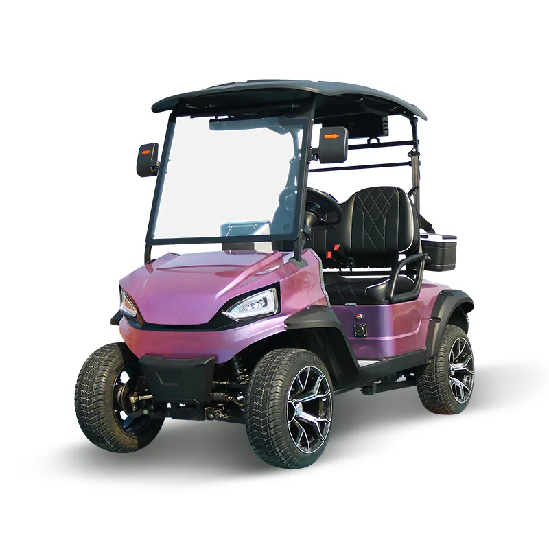 2025 Nowa Najlepsza Cena Parison 2-miejscowy Akumulator Litewny Elektryczny Golf Cart Carro De Golf Electrico 2025SDZX12PTPR160