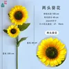 Girasol XZG (doble cabeza) - se envía por separado