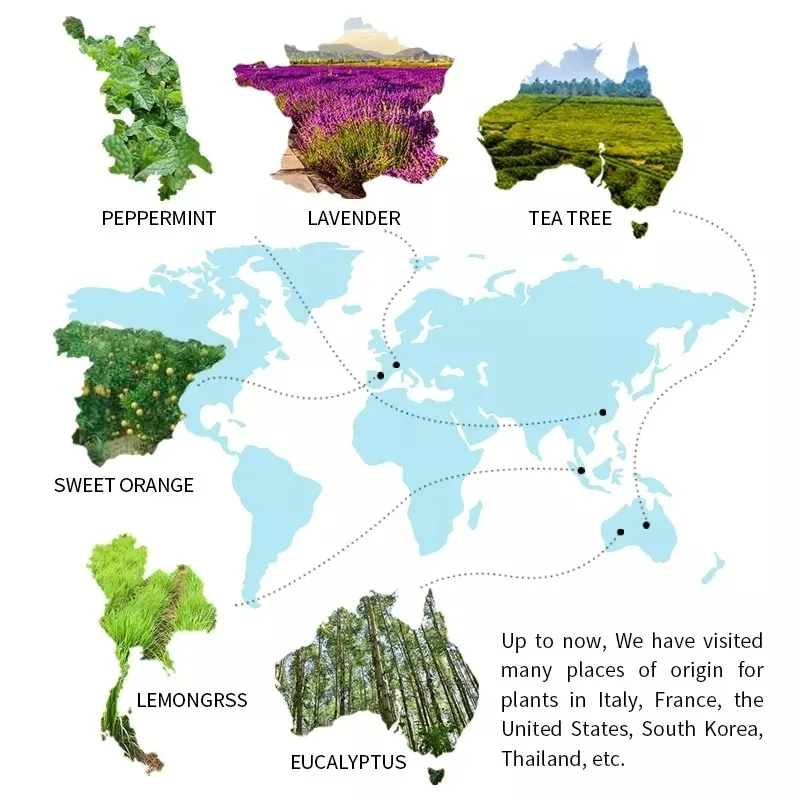 Bulk Fragrances Oils Manufacturer,Wholesale Hl Flavor Customizable