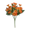 Arancione