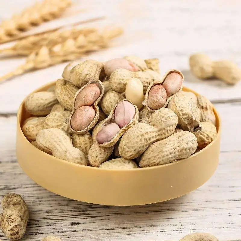 Factory Price Peanut in Shell Black peanuts Bulk Sale peanuts Best Price Factory Directly Sale
