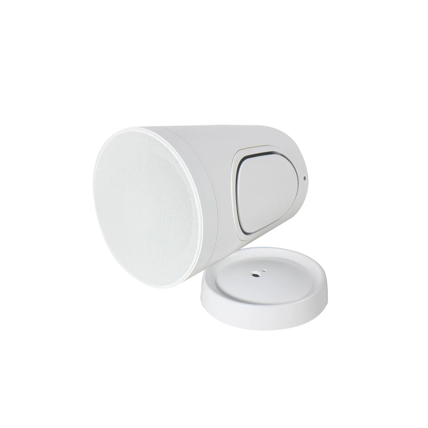 T IP66 Commercial Sound 8 Inch Ceiling Hanging Loudspeaker Wall Mount PA Hi-fi Ceiling Chain Pendant Speaker