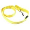 Yellow leash