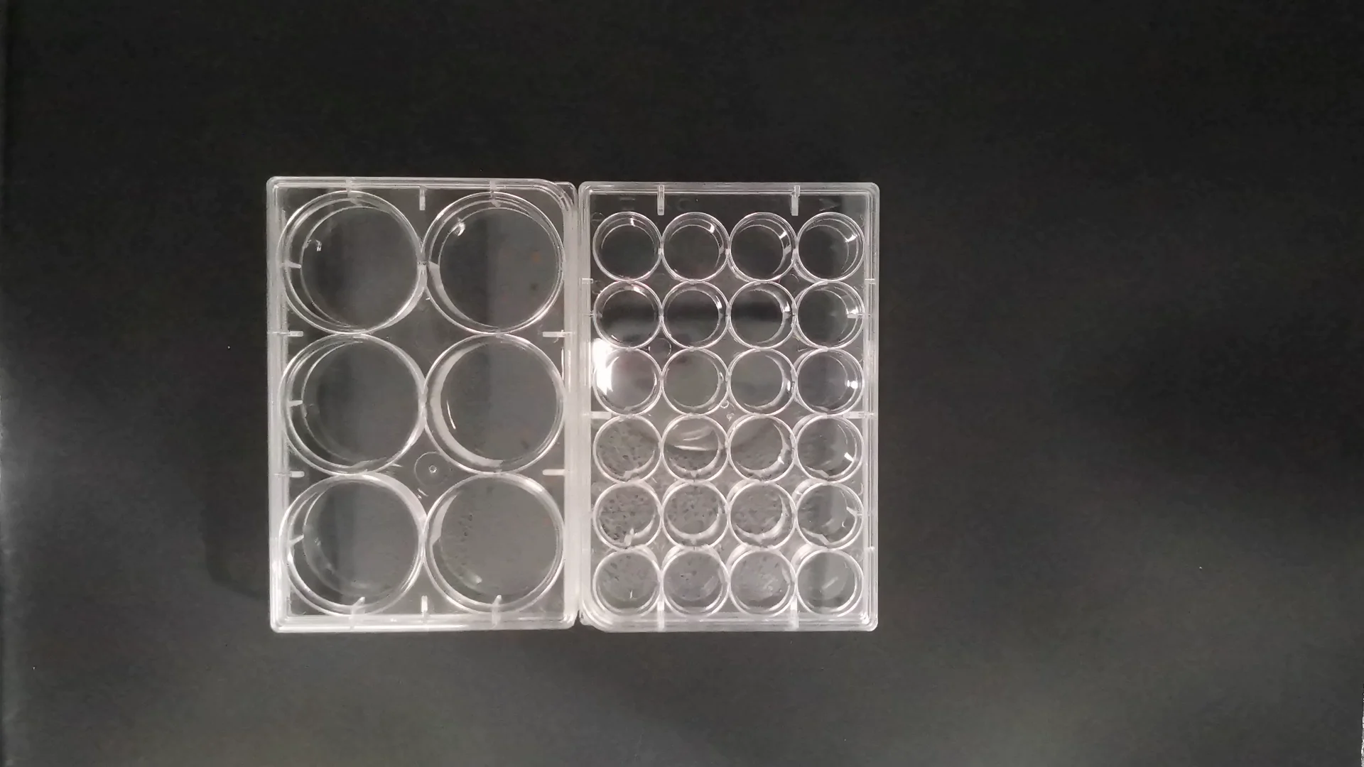 Luoron Sterile Multi Well Cell Culture Plates Ultra Low Attachment 6/12