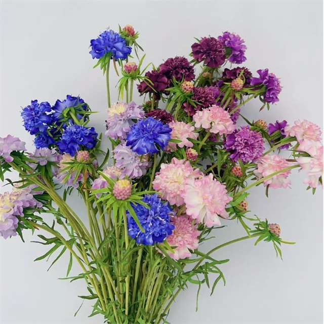 High Quality Silk Scabiosa Flower Arrangements for Decor