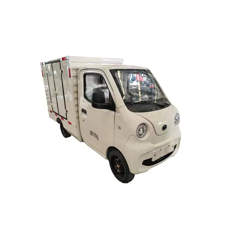 Прямая поставка с видео Электрический небольшой мини-грузовой фургон