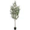 Green Potted Artificial Olive Trees With Fruits