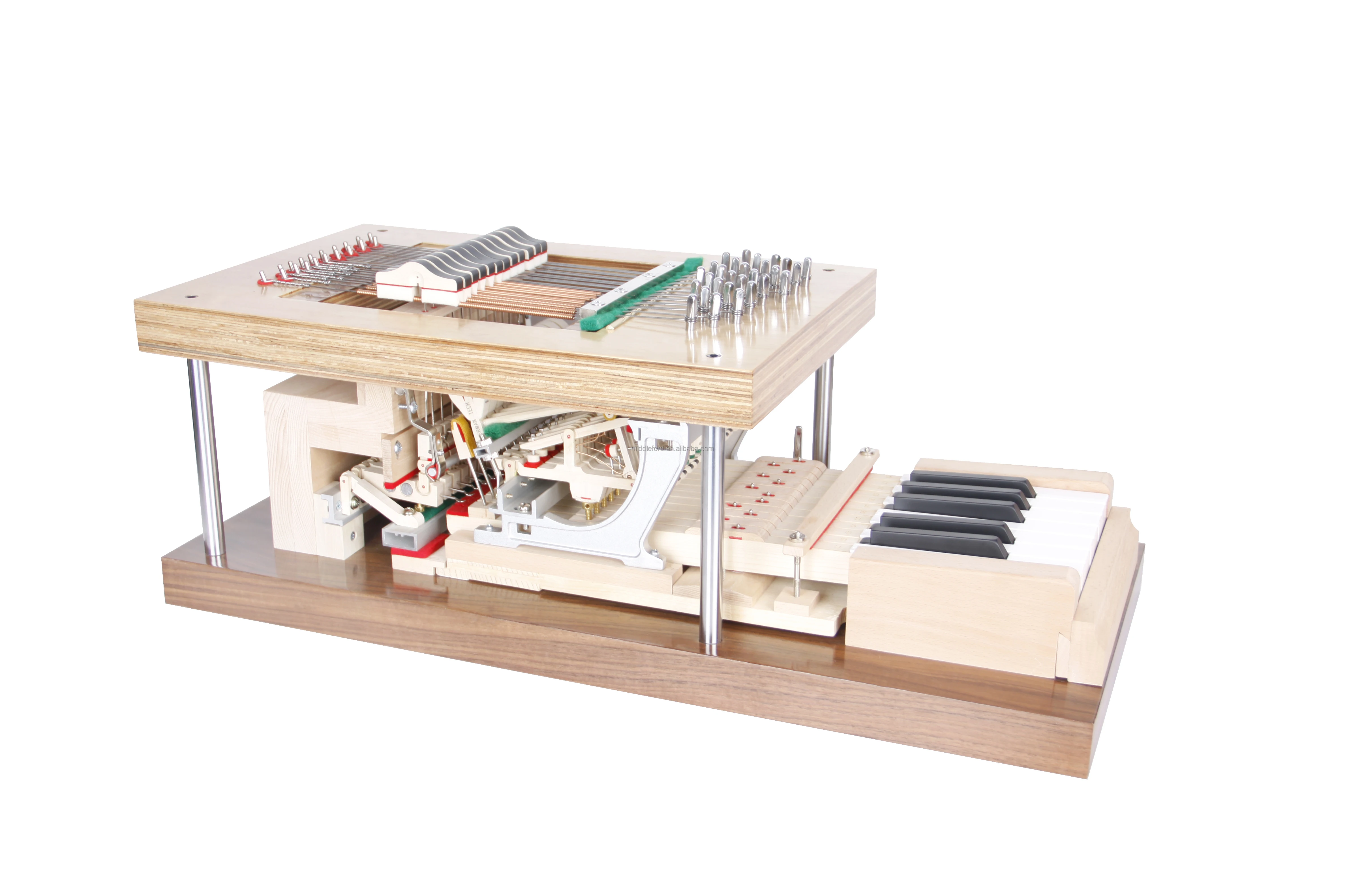 Acoustic Grand Piano Action Mold - 12 Keys for Piano Shop Display