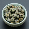 Dalmatien Jasper