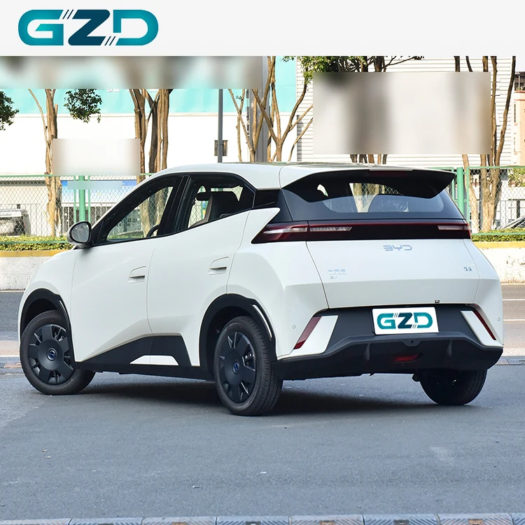 Byd Seagull 2025 International Version Pure Electric Vehicle Mini Car