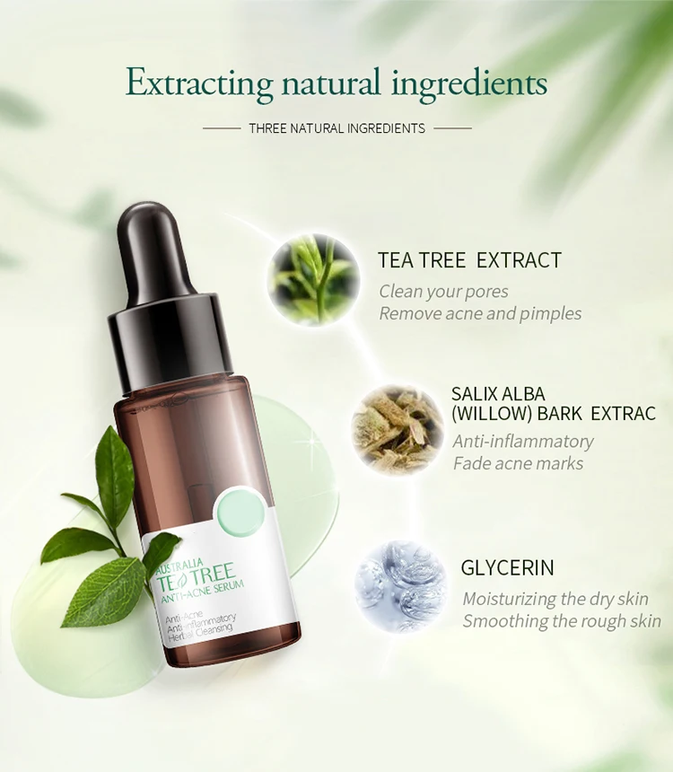 wholesale high quality Tea tree Essential oil manufacturer