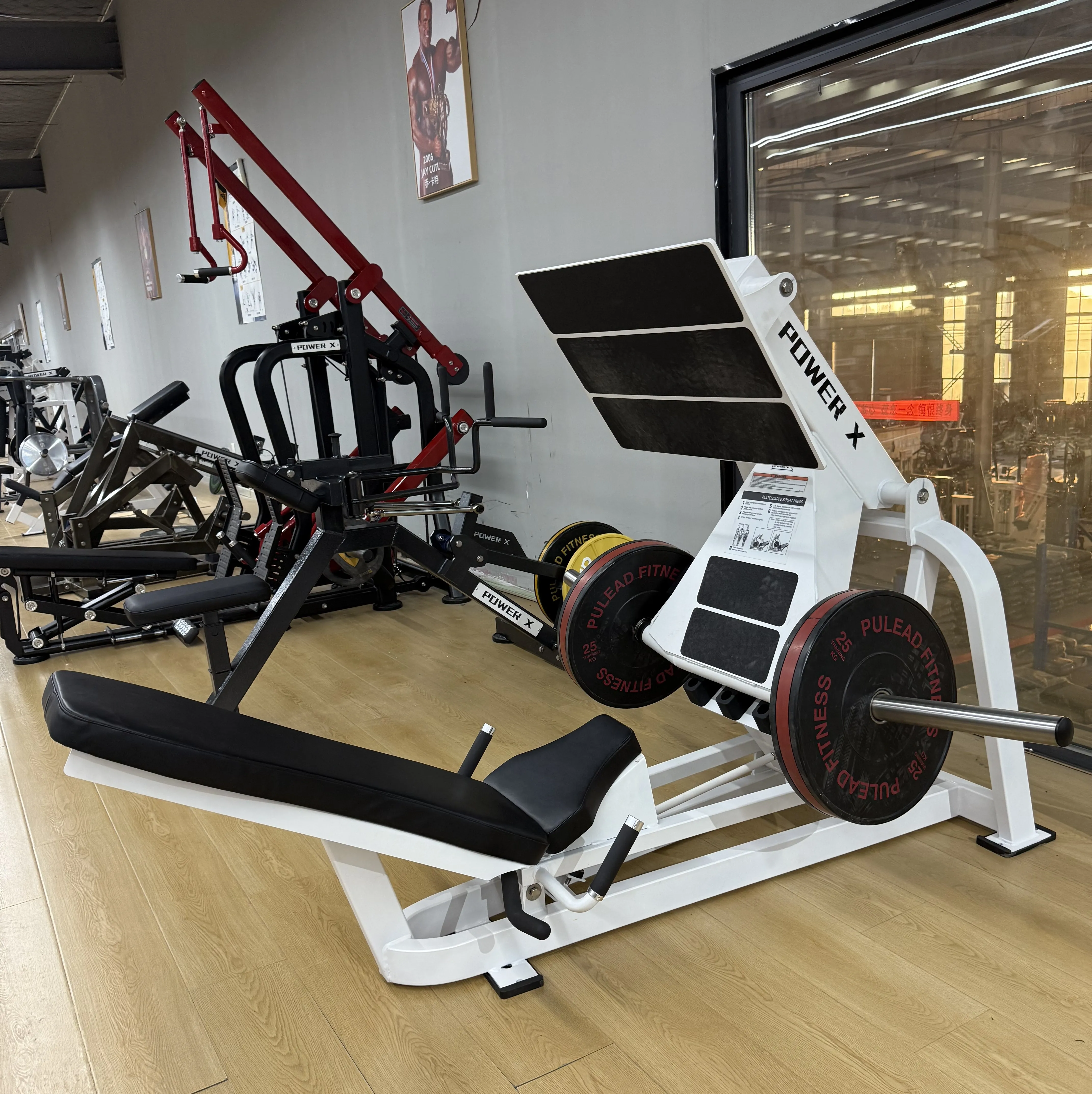 Best Quality Cybex Strength Leg Press Fitness Plate Loaded Machine Squat  Press