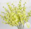 Yellow orchid branch on tall stem