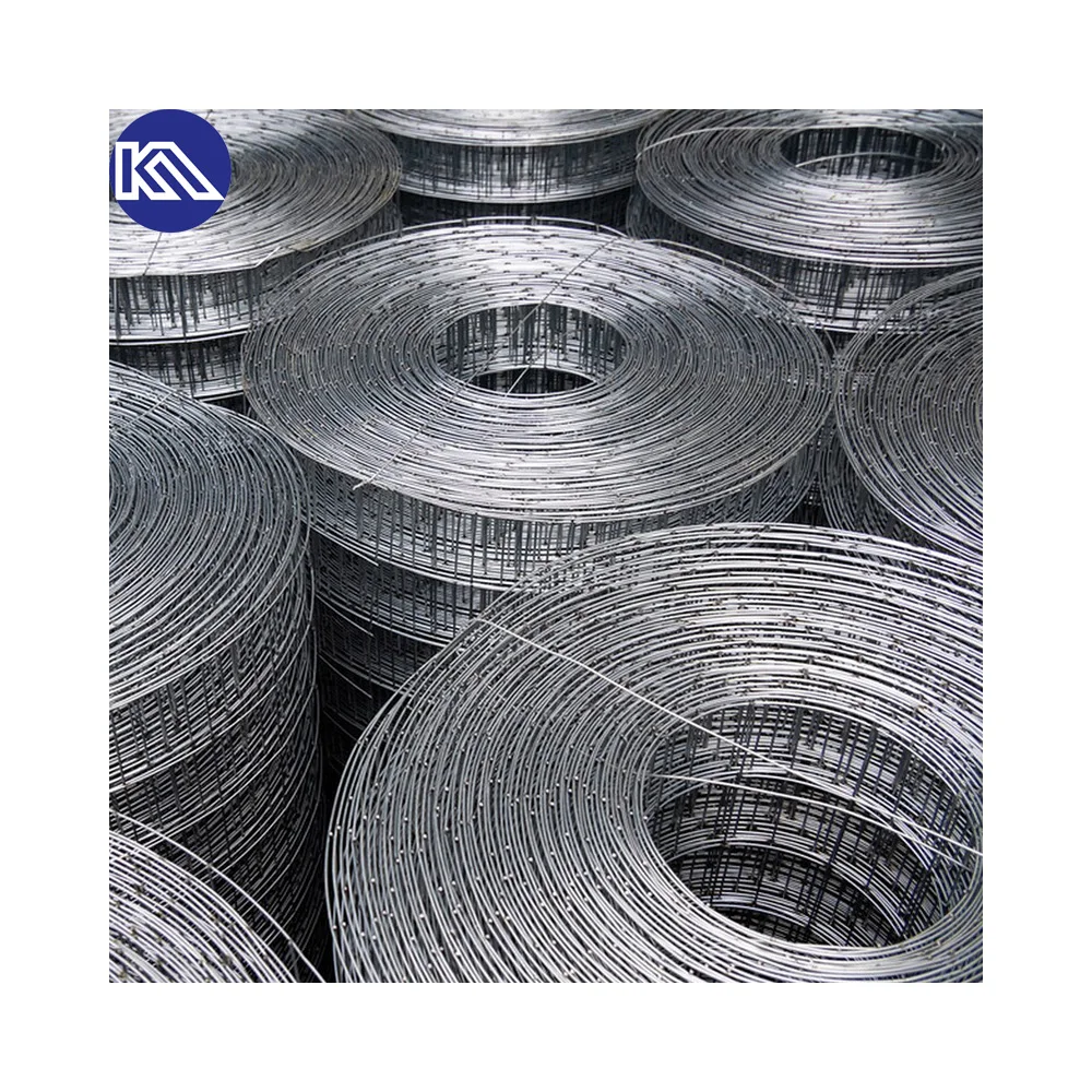 Philippines 1/2"x1/2" Welded Iron Wire Mesh Fence Galvanized Welded Wire Mesh 30m Per Roll for Bird Cages