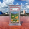 Clear Case