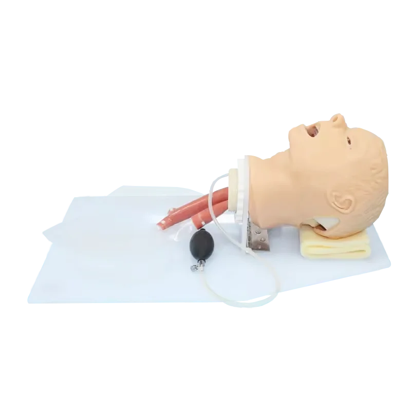 ADA-J50 Trachea Intubation Training Model With Alarm Device Airway School Teaching Manikin Neonate Infant Trachea Mode