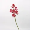 Fée Huilan (rouge)