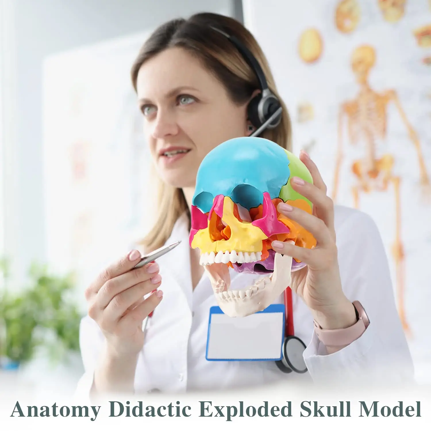 Color 22 Parts Life Size Exploded Anatomical Skull Model for Medical Student Human Anatomy Teaching and Studying Natural Large