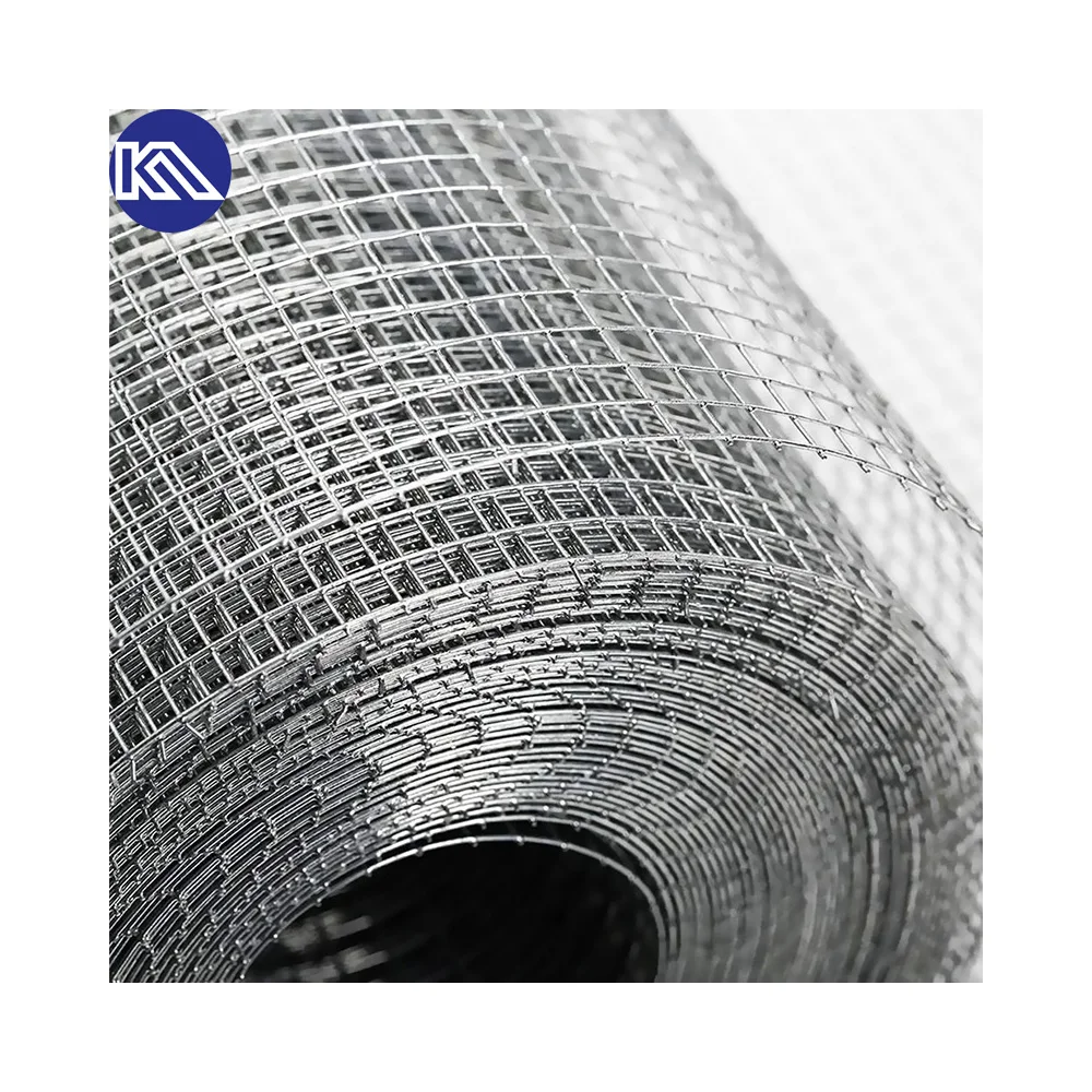 Philippines 1/2"x1/2" Welded Iron Wire Mesh Fence Galvanized Welded Wire Mesh 30m Per Roll for Bird Cages