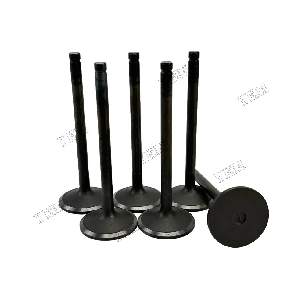 Intake Valve Fit for Hino H07C Engine