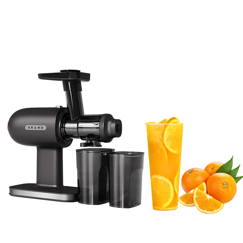 SJ-012 Horizontal Pursue Fresh Taste Fruit Vegetable best cold press slow juicer machine home 444074
