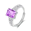 JH0222-1Amethyst