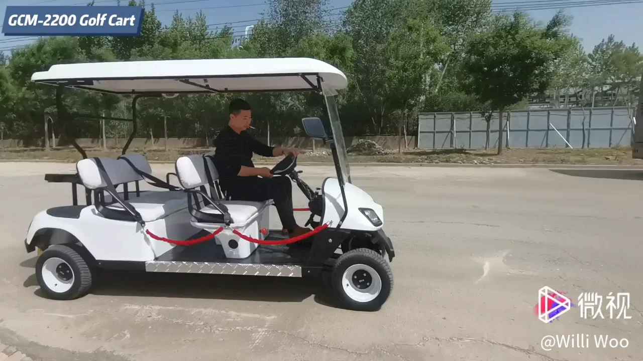 Багги для гольфа. Golf Buggy.