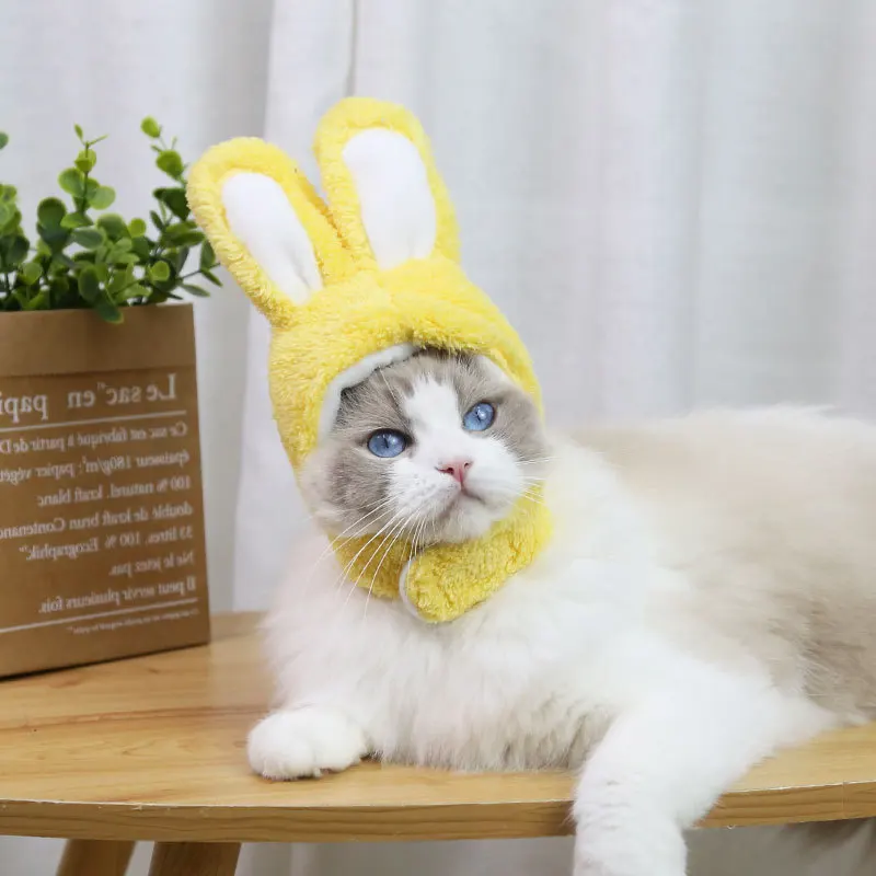 Comfortable Teddy Bear Design Hat Headgear Supplies Pets Cat Funny ...