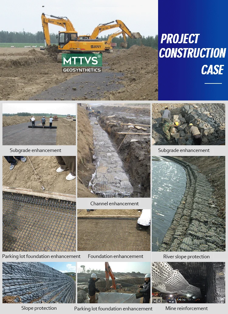 biaxial geogrid case