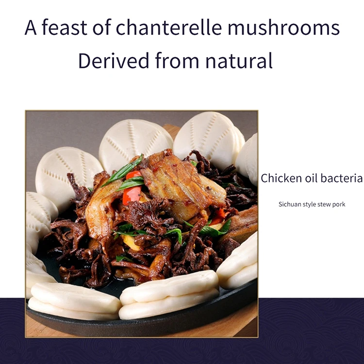 Buy Wild Dried Chanterelle Jamur Chanterelle Mushrooms With Wholesale Prices