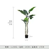 Simulated Rainbow Taro 150CM