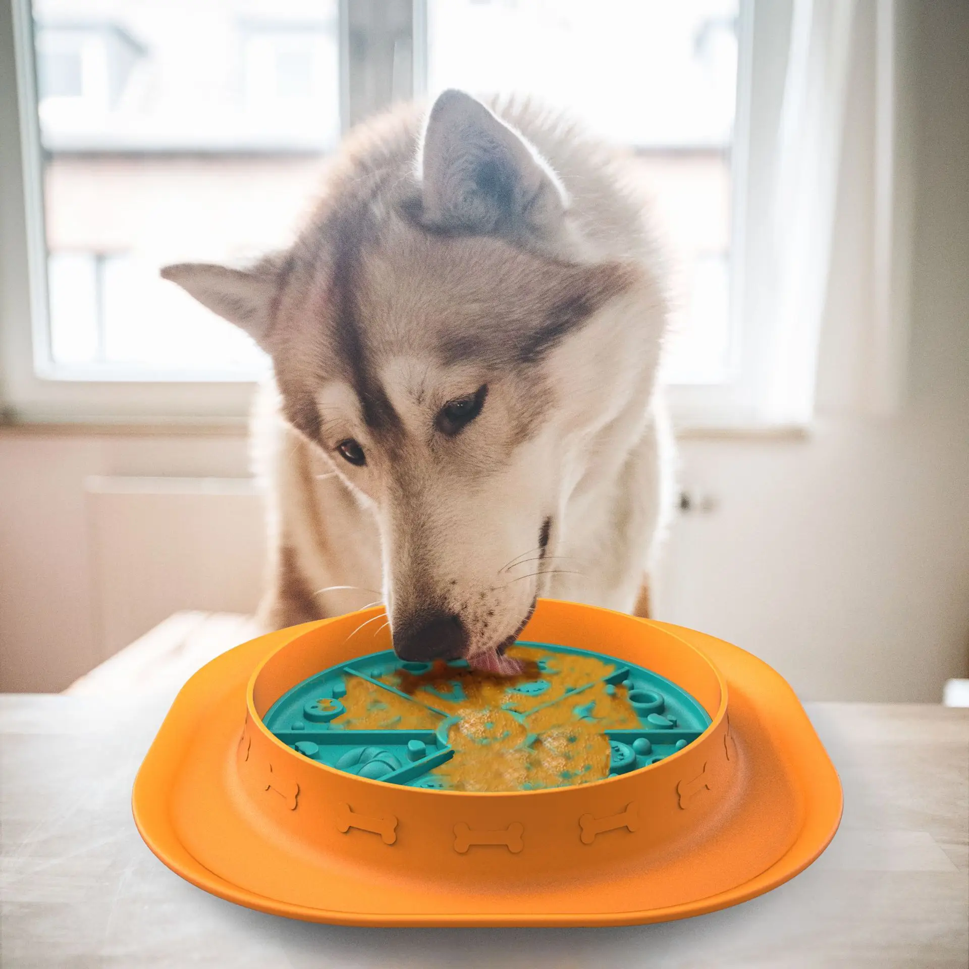 Multi-Functional Anti-Slip Silicone Pet Bowls Specific for Dogs Slow Food Licking Set with Anti-Choking Feature factory