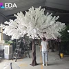 250cm